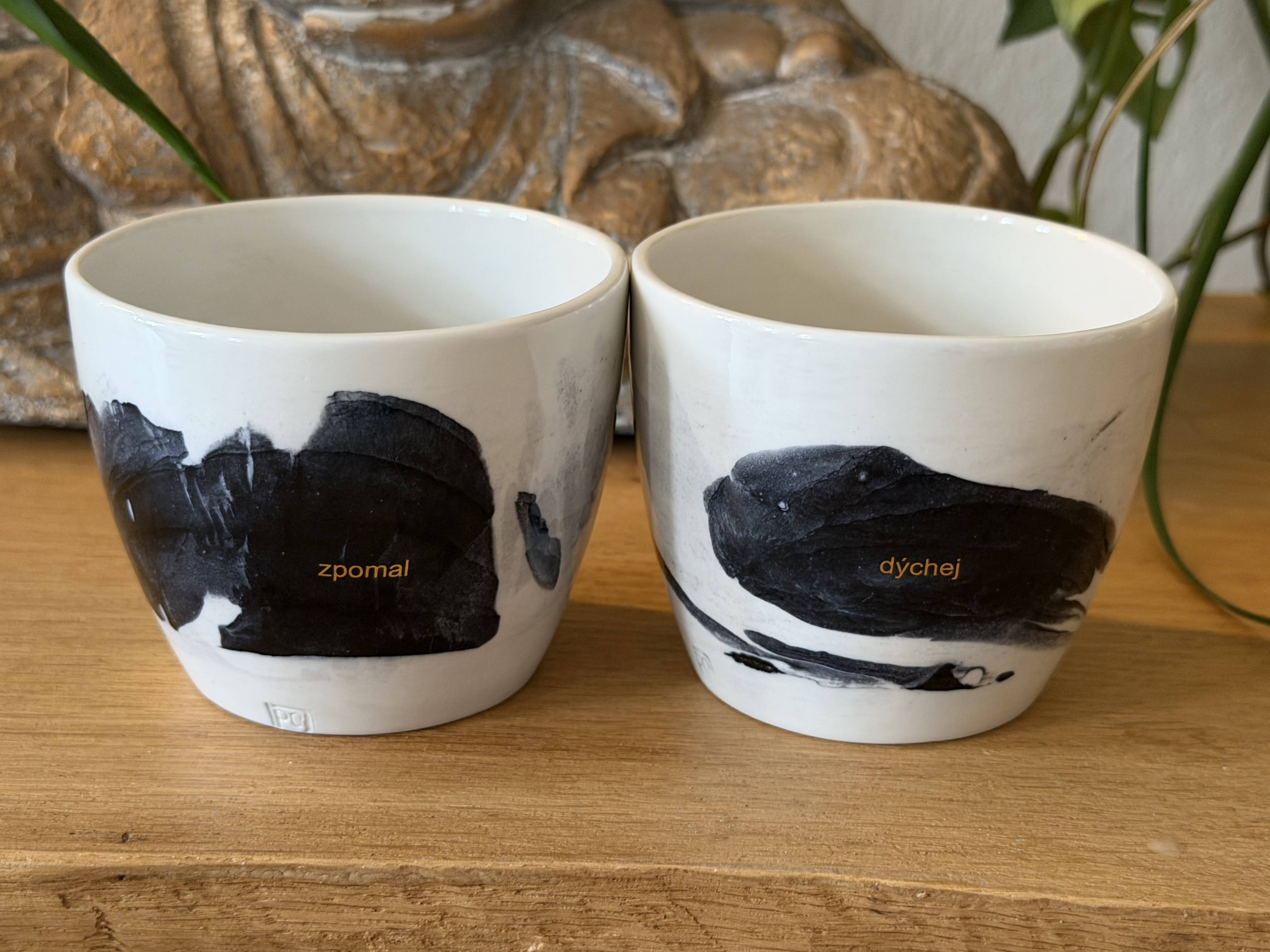 Skupinová lekce - bojovník